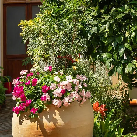 La Torretta Domus 4*